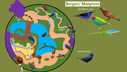 Mangrove (Zoekgids).png
