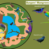 Mangrove (Zoekgids)