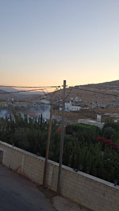 صورة الخبر