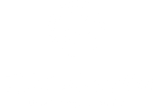 logo davila email.png