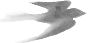 1000202197.png