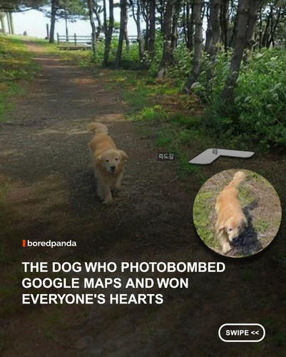 swipe to read.jpg