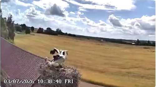 MWSnap722.jpg