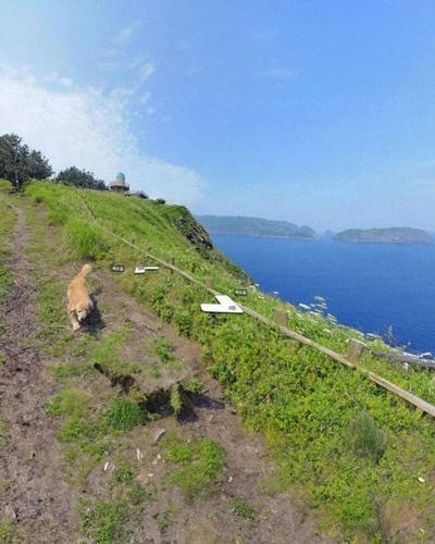 111.jpg