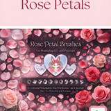 Rose petal brushes graphic design 202607032137 x4