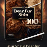 iPad Pro setup bear brushes 202607041726 x4
