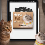 iPad Pro setup cat portraits 202607041726 x4