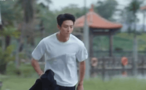 IMG 4615.gif