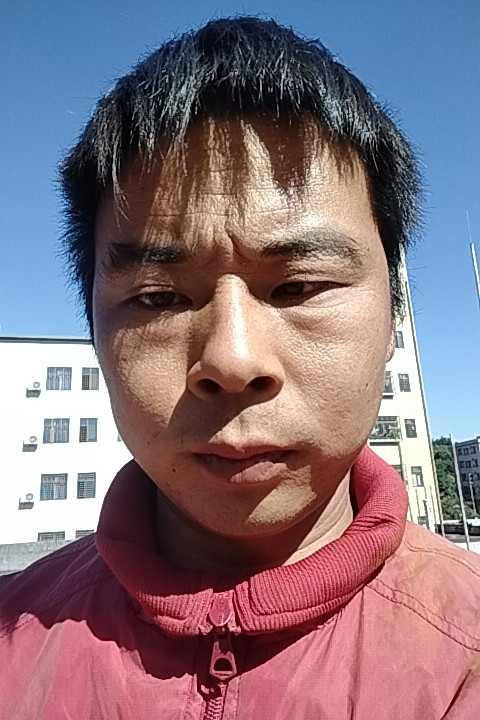 ea785194e449.jpg
