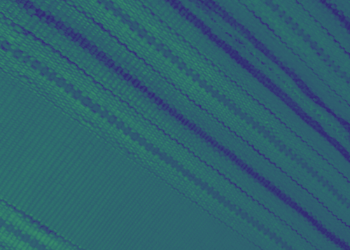 temp.png