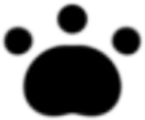 IMG 9113.png
