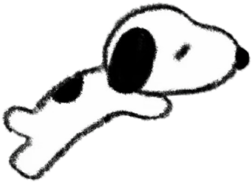 IMG 9112.png