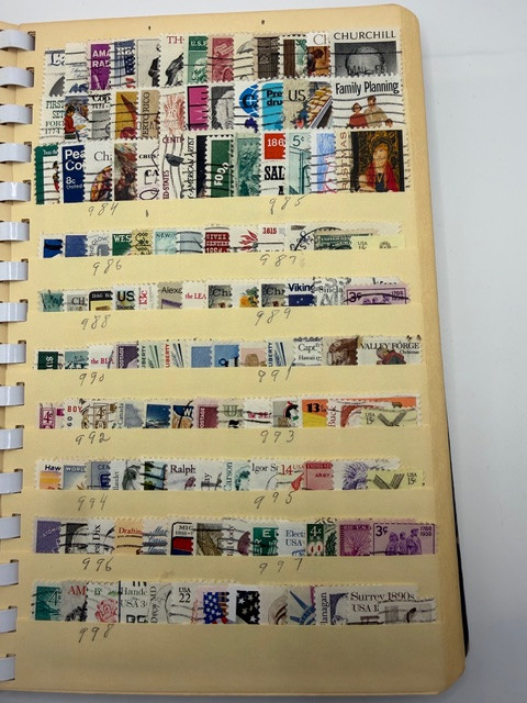IMG 0354.jpg