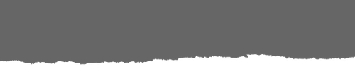 paper torn 1.png