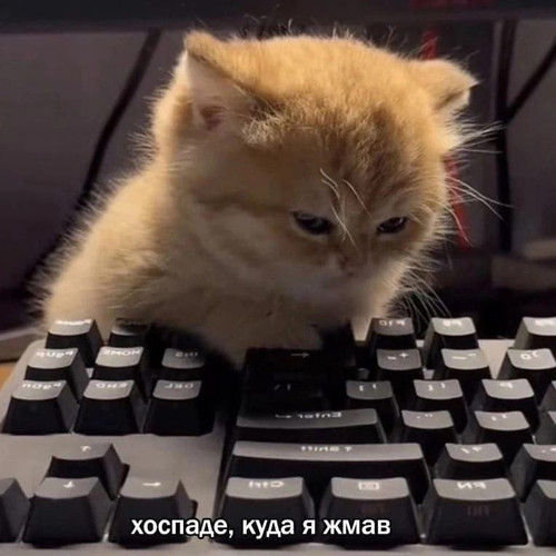 17823349968210528340.jpg