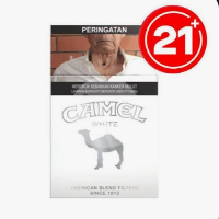 2c189db91cf4.png