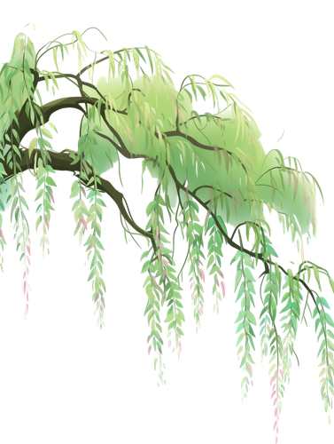 huaban 6650333714.png
