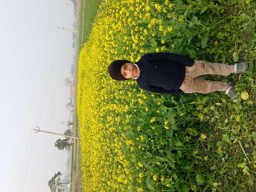 6c8eaf767882.jpg