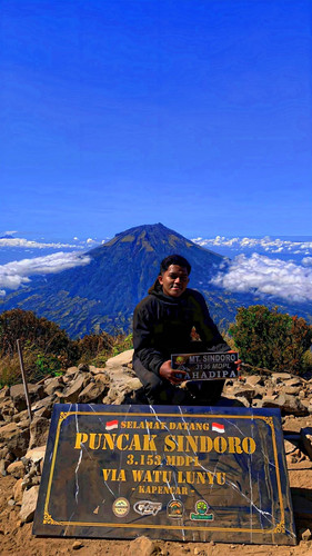 d50019647ba3.jpg
