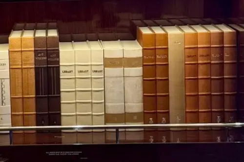 library books.webp