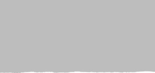 paper torn2.png