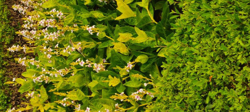 22e748ae64bf.jpg