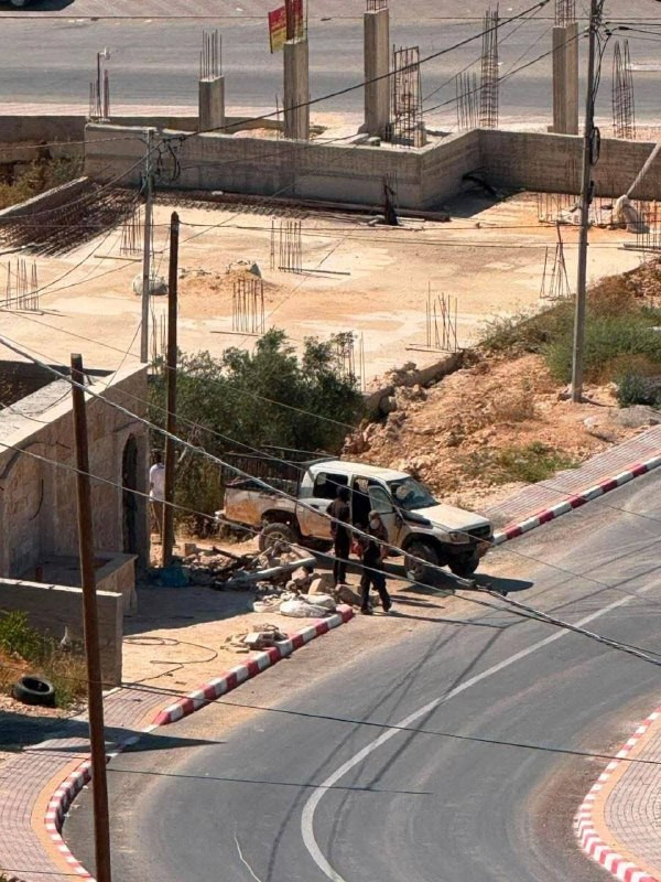 صورة الخبر