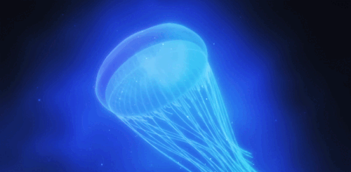 ezgif.com gif maker.gif