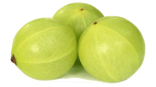 indian gooseberry seedless fruit clip art amla 9a65fbae41210c38b026b2563221dc5c.png
