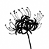 загрузка (99).png