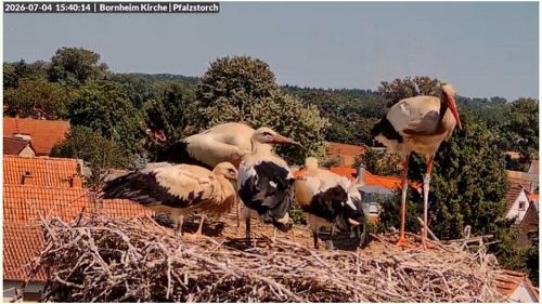 MWSnap151.jpg