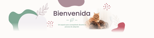 Banner encabezado.png