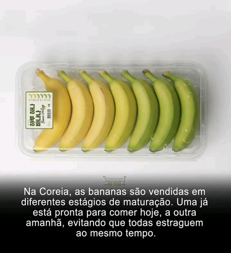 1778281281158.jpg