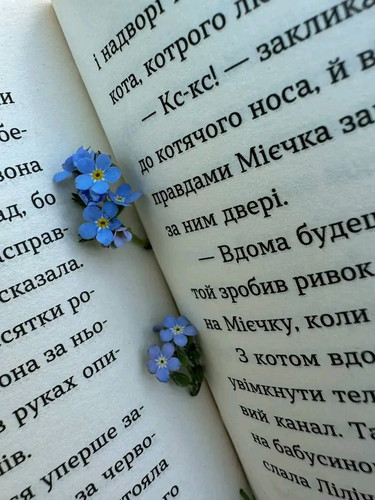 1779216616760.jpg