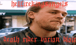 11.gif