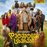 The Sheep Detectives Cover