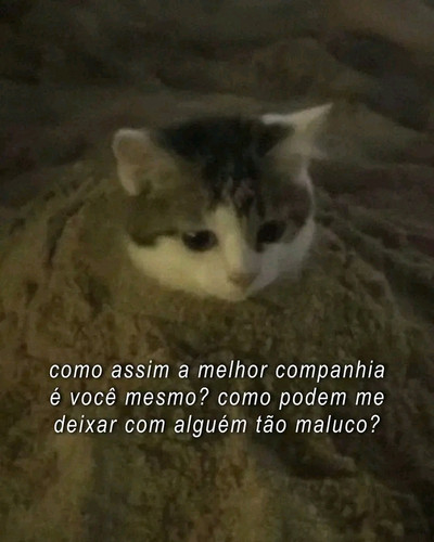 1779750998661.jpg
