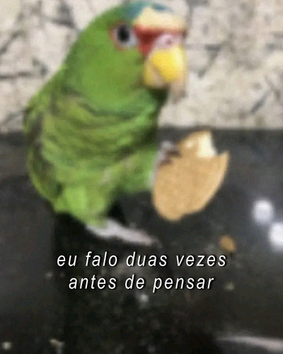 1779751048389.jpg