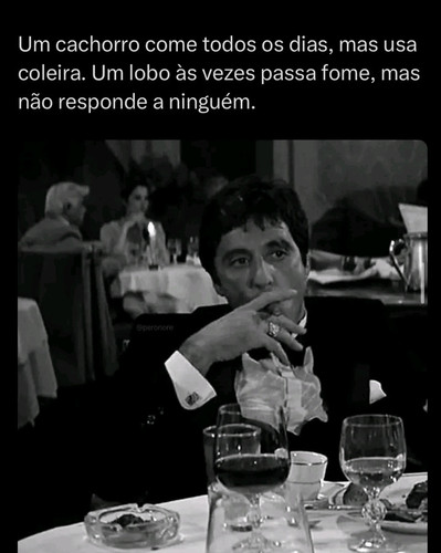 1780756265937.jpg