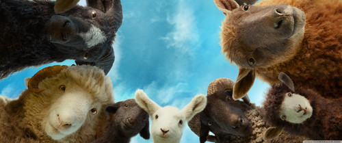 The Sheep Detectives.jpg