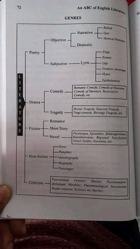 1781704315762.jpg