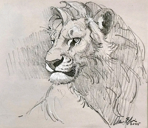 1781776461393.jpg