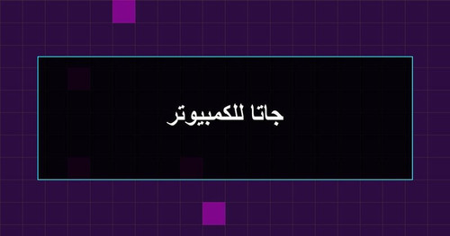 جاتا للكمبيوتر.jpg