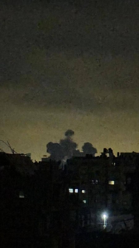 صورة الخبر