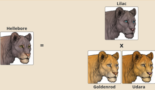 1000007164.png
