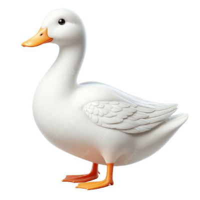 45a7d540dc74.png