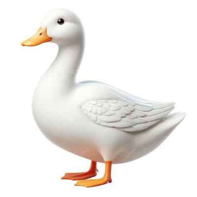 4d33aed5b31c.png
