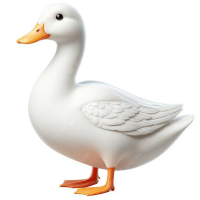 5ffa5a040469.png