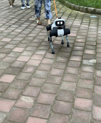 1000151628.jpg