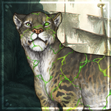 IMG 5499.png